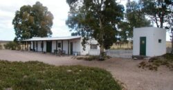 CAMPO PENÍNSULA VALDÉS – ESTANCIA BELLA VISTA