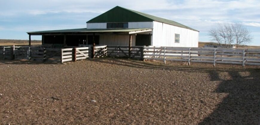 CAMPO PENÍNSULA VALDÉS – ESTANCIA BELLA VISTA