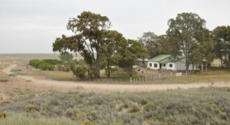 CAMPO PENÍNSULA VALDÉS – ESTANCIA BELLA VISTA