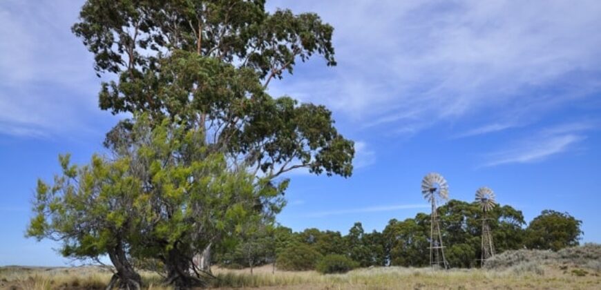 CAMPO PENÍNSULA VALDÉS – ESTANCIA BELLA VISTA