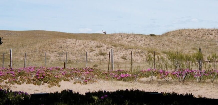 CAMPO PENÍNSULA VALDÉS – ESTANCIA BELLA VISTA