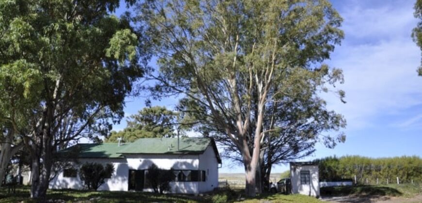 CAMPO PENÍNSULA VALDÉS – ESTANCIA BELLA VISTA