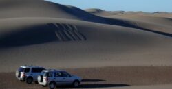 CAMPO PENÍNSULA VALDÉS – ESTANCIA BELLA VISTA