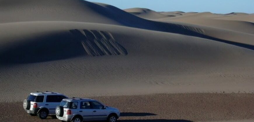 CAMPO PENÍNSULA VALDÉS – ESTANCIA BELLA VISTA