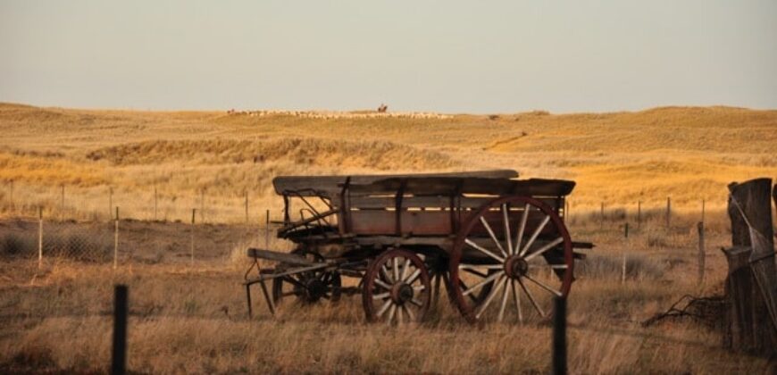 CAMPO PENÍNSULA VALDÉS – ESTANCIA BELLA VISTA