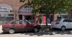 SAN MARTIN 135 Local 1 y Local 3