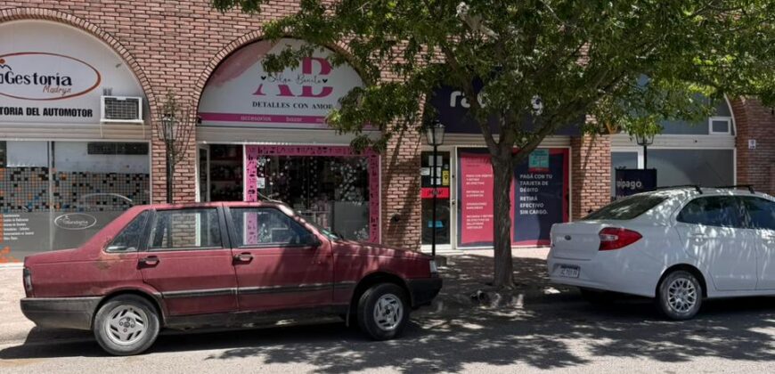 SAN MARTIN 135 Local 1 y Local 3