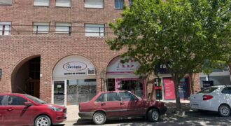 SAN MARTIN 135 Local 1 y Local 3