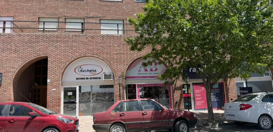 SAN MARTIN 135 Local 1 y Local 3