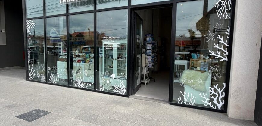 LOCAL COMERCIAL – Frente al mar