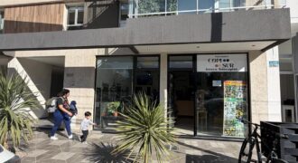 LOCALES VENTA, Edificio Caleta VIEW I