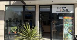 LOCALES VENTA, Edificio Caleta VIEW I