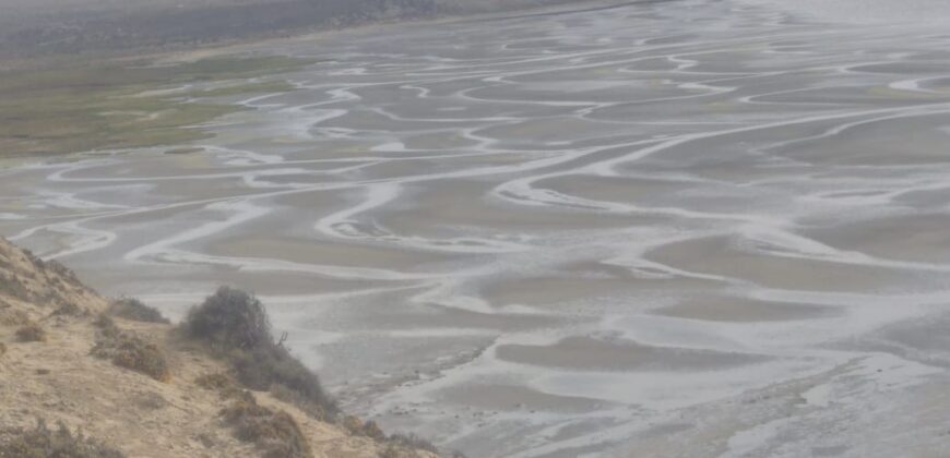 PENÍNSULA VALDÉS – ESTABLECIMIENTO GANADERO, FUERTE SAN JOSE