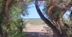 PENÍNSULA VALDÉS – ESTABLECIMIENTO GANADERO, FUERTE SAN JOSE