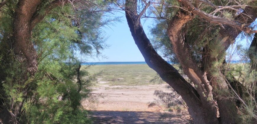 PENÍNSULA VALDÉS – ESTABLECIMIENTO GANADERO, FUERTE SAN JOSE