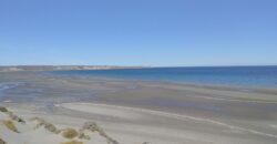 PENÍNSULA VALDÉS – ESTABLECIMIENTO GANADERO, FUERTE SAN JOSE