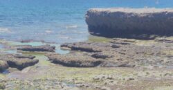 PENÍNSULA VALDÉS – ESTABLECIMIENTO GANADERO, FUERTE SAN JOSE