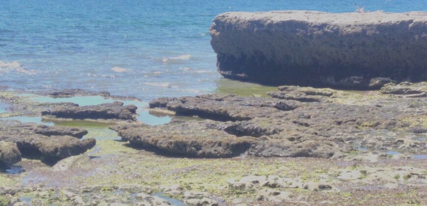 PENÍNSULA VALDÉS – ESTABLECIMIENTO GANADERO, FUERTE SAN JOSE