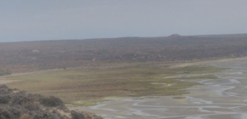 PENÍNSULA VALDÉS – ESTABLECIMIENTO GANADERO, FUERTE SAN JOSE