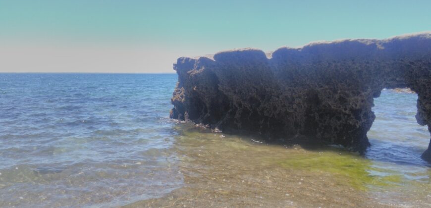 PENÍNSULA VALDÉS – ESTABLECIMIENTO GANADERO, FUERTE SAN JOSE