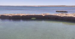 PENÍNSULA VALDÉS – ESTABLECIMIENTO GANADERO, FUERTE SAN JOSE