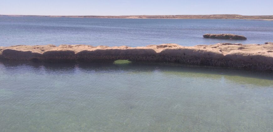 PENÍNSULA VALDÉS – ESTABLECIMIENTO GANADERO, FUERTE SAN JOSE