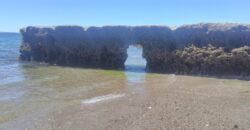 PENÍNSULA VALDÉS – ESTABLECIMIENTO GANADERO, FUERTE SAN JOSE