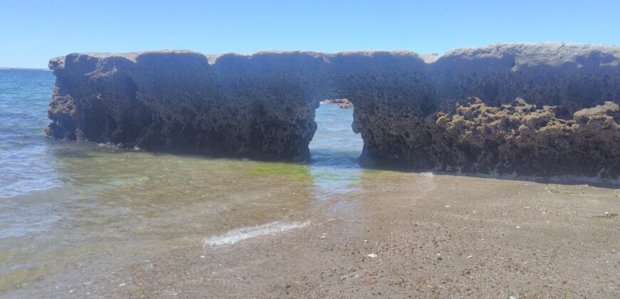 PENÍNSULA VALDÉS – ESTABLECIMIENTO GANADERO, FUERTE SAN JOSE