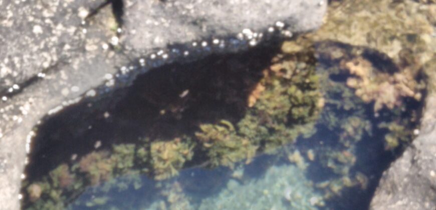 PENÍNSULA VALDÉS – ESTABLECIMIENTO GANADERO, FUERTE SAN JOSE