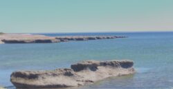 PENÍNSULA VALDÉS – ESTABLECIMIENTO GANADERO, FUERTE SAN JOSE