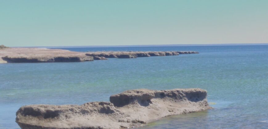 PENÍNSULA VALDÉS – ESTABLECIMIENTO GANADERO, FUERTE SAN JOSE