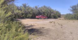 PENÍNSULA VALDÉS – ESTABLECIMIENTO GANADERO, FUERTE SAN JOSE