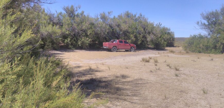 PENÍNSULA VALDÉS – ESTABLECIMIENTO GANADERO, FUERTE SAN JOSE