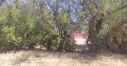 PENÍNSULA VALDÉS – ESTABLECIMIENTO GANADERO, FUERTE SAN JOSE