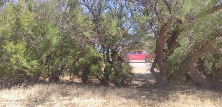 PENÍNSULA VALDÉS – ESTABLECIMIENTO GANADERO, FUERTE SAN JOSE