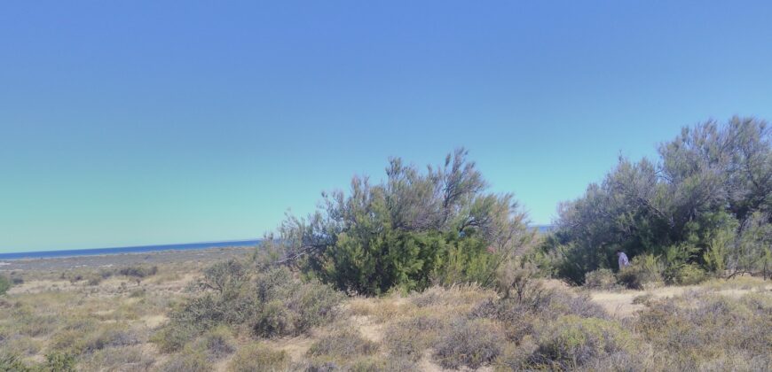 PENÍNSULA VALDÉS – ESTABLECIMIENTO GANADERO, FUERTE SAN JOSE