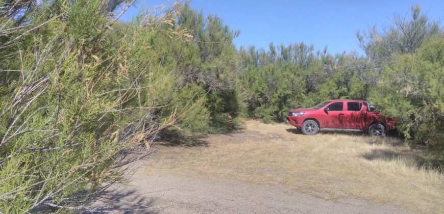 PENÍNSULA VALDÉS – ESTABLECIMIENTO GANADERO, FUERTE SAN JOSE