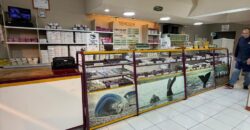 LOCAL COMERCIAL EN VENTA